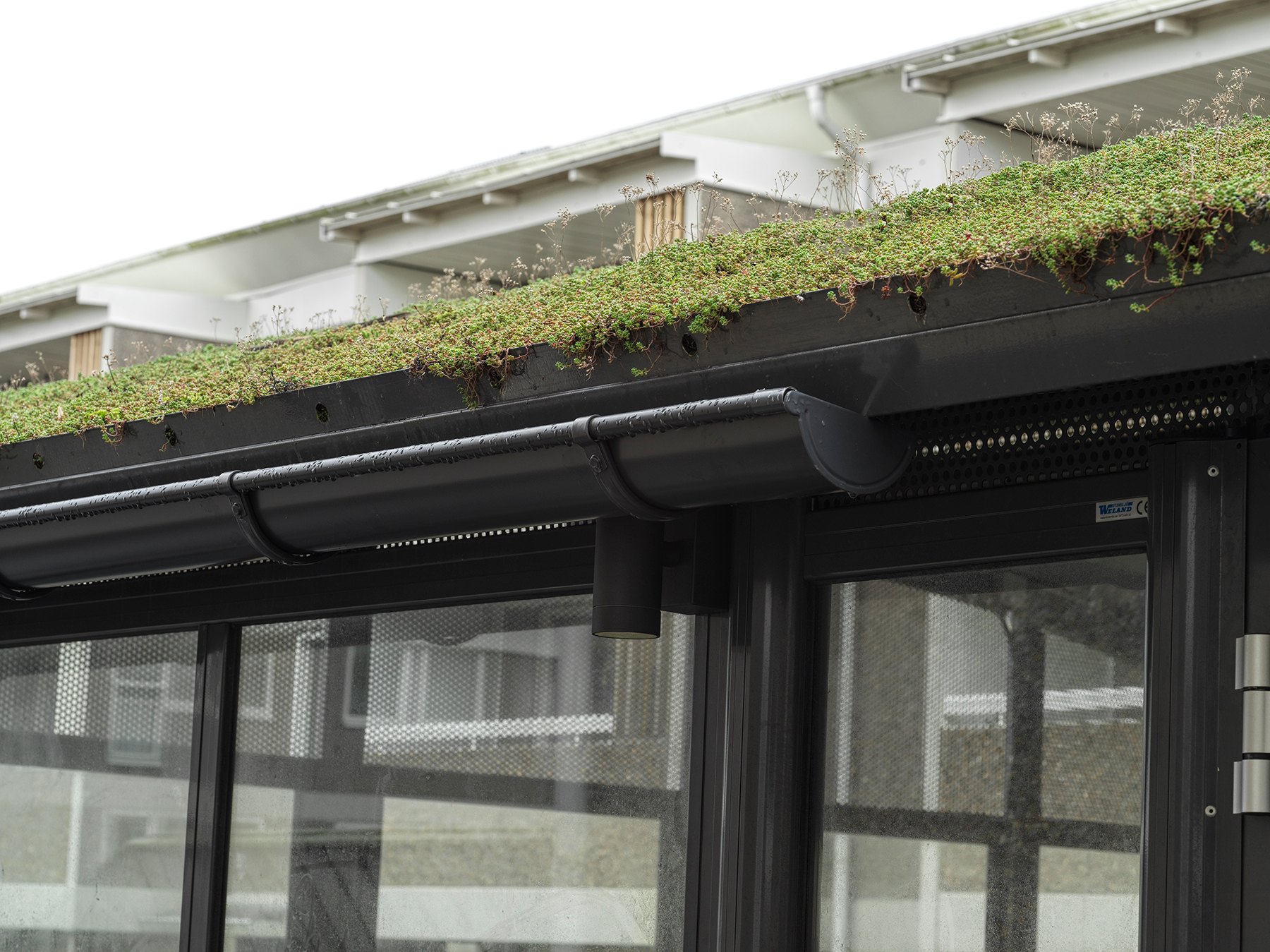 Tellus Sedumtak Referens Bi00002236