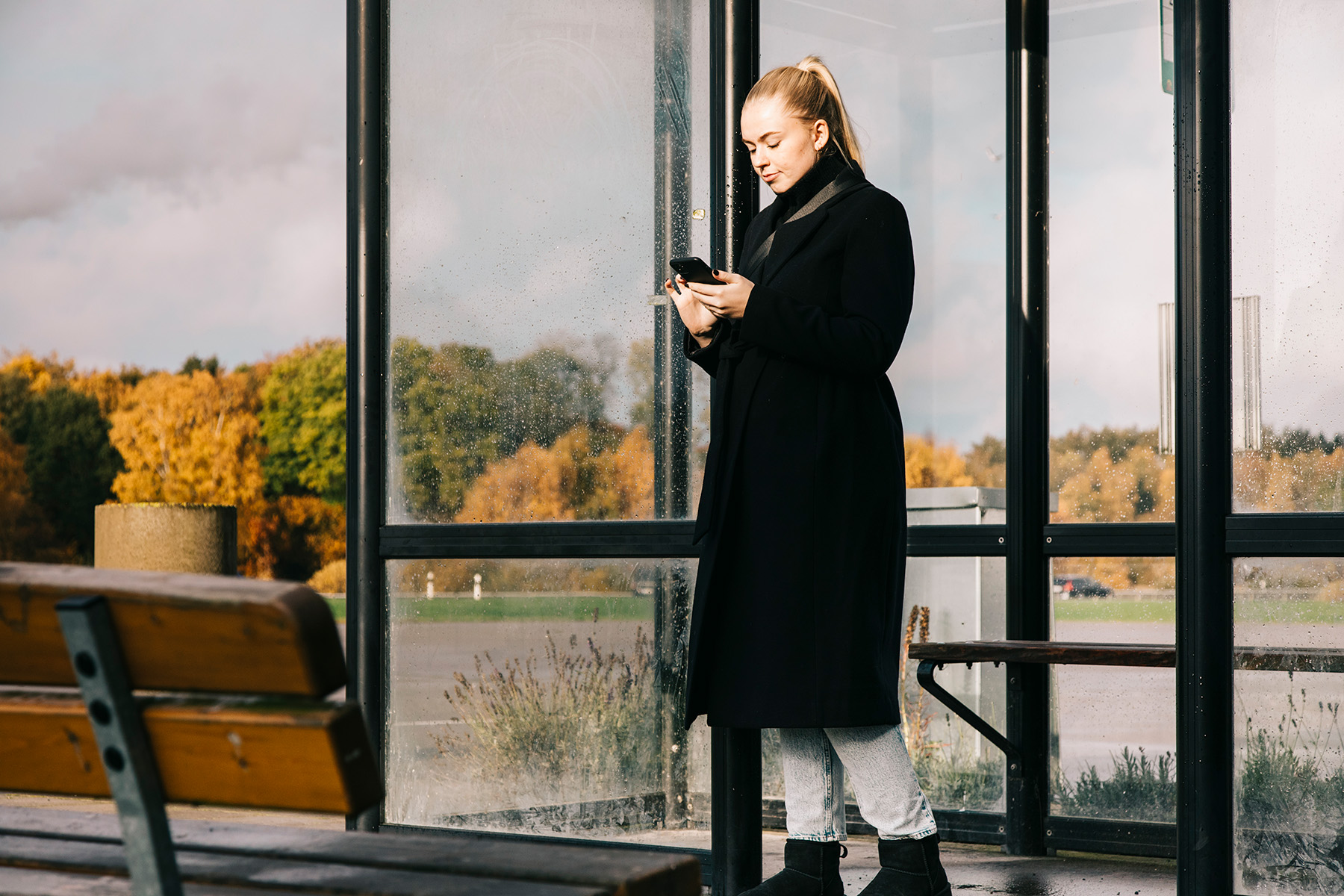 Rokrum Arcus Referens Am00001604